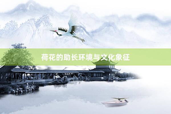 荷花的助长环境与文化象征