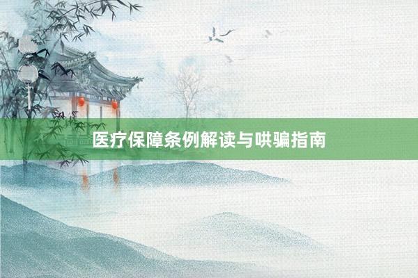医疗保障条例解读与哄骗指南