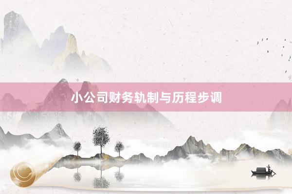 小公司财务轨制与历程步调
